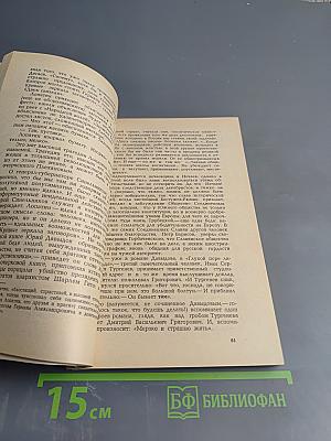 Вопросы литературы № 8