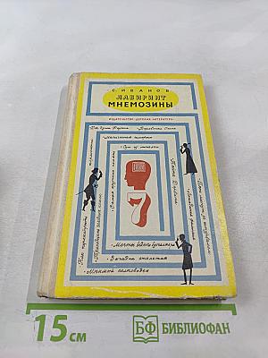 Лабиринт Мнемозины