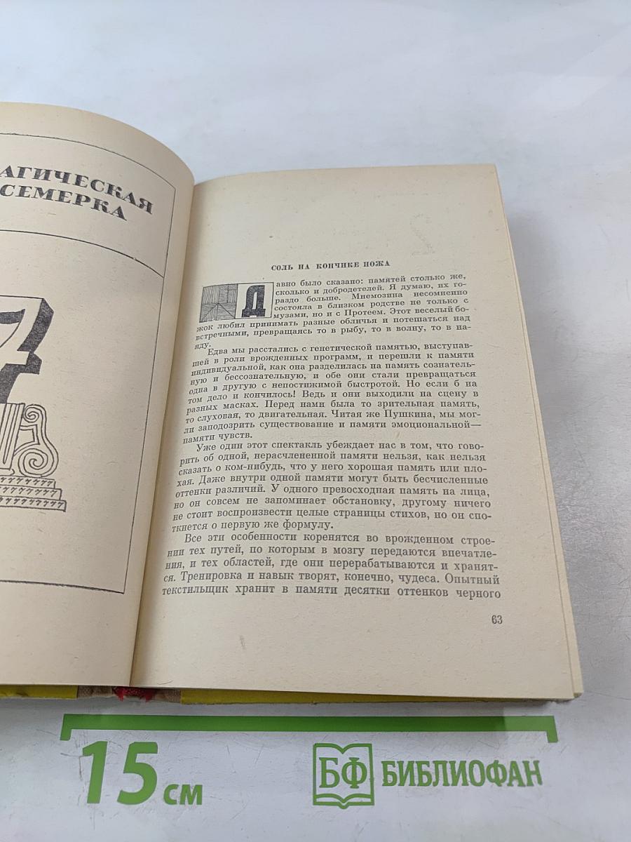 Лабиринт Мнемозины