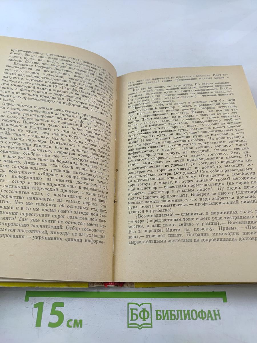 Лабиринт Мнемозины