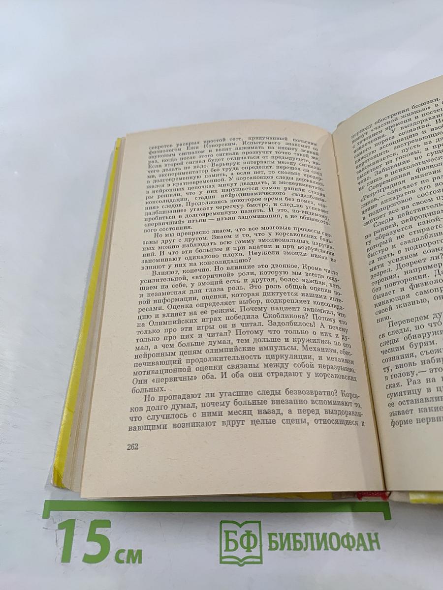 Лабиринт Мнемозины