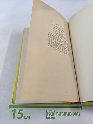 Лабиринт Мнемозины