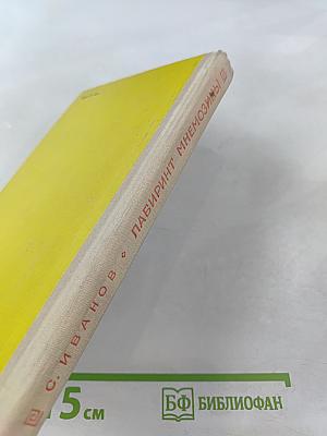 Лабиринт Мнемозины