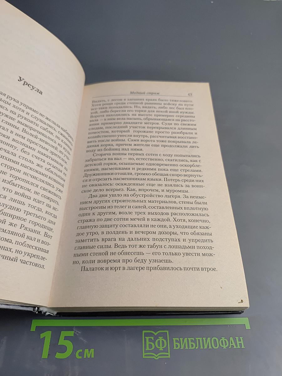 Ведун. Медный страж