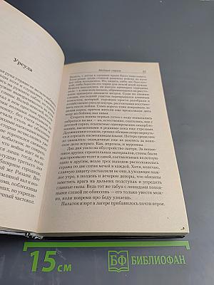 Ведун. Медный страж