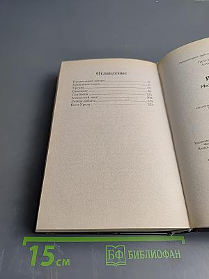 Ведун. Медный страж