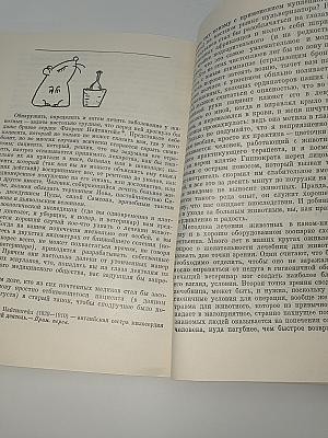 Ковчег на острове