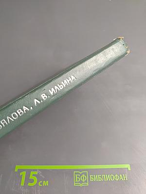 Практический курс немецкого языка. Часть I