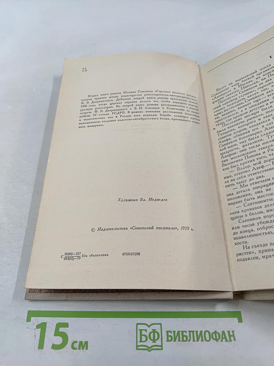 Горение. Роман-хроника. Книга вторая