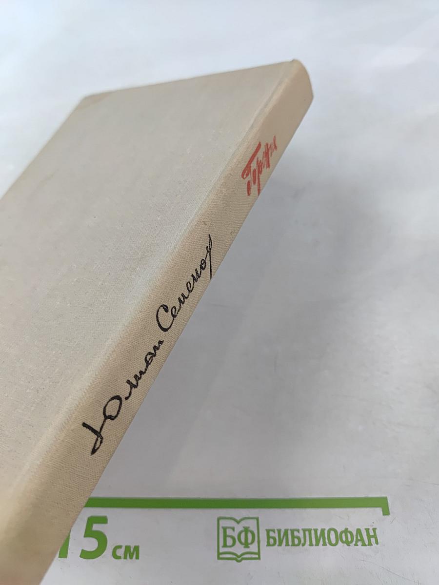 Горение. Роман-хроника. Книга вторая