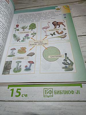 Окружающий мир 3 класс Часть 1