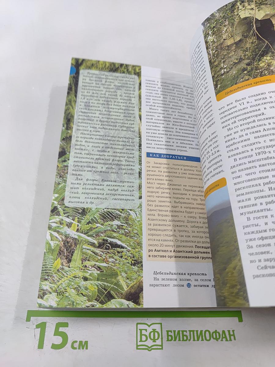 Прогулки по Абхазии