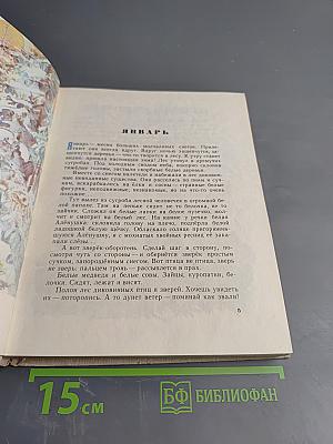 Сорочьи тараторки