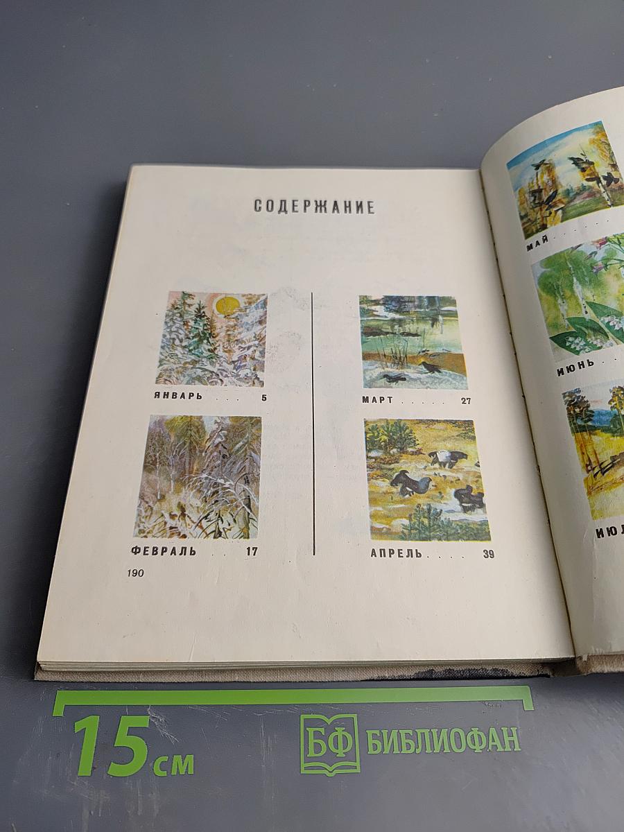 Сорочьи тараторки