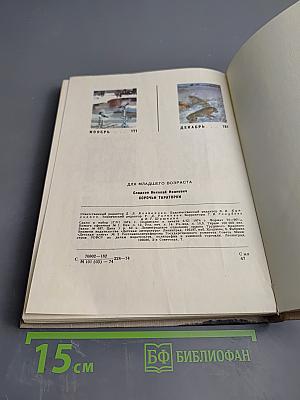 Сорочьи тараторки