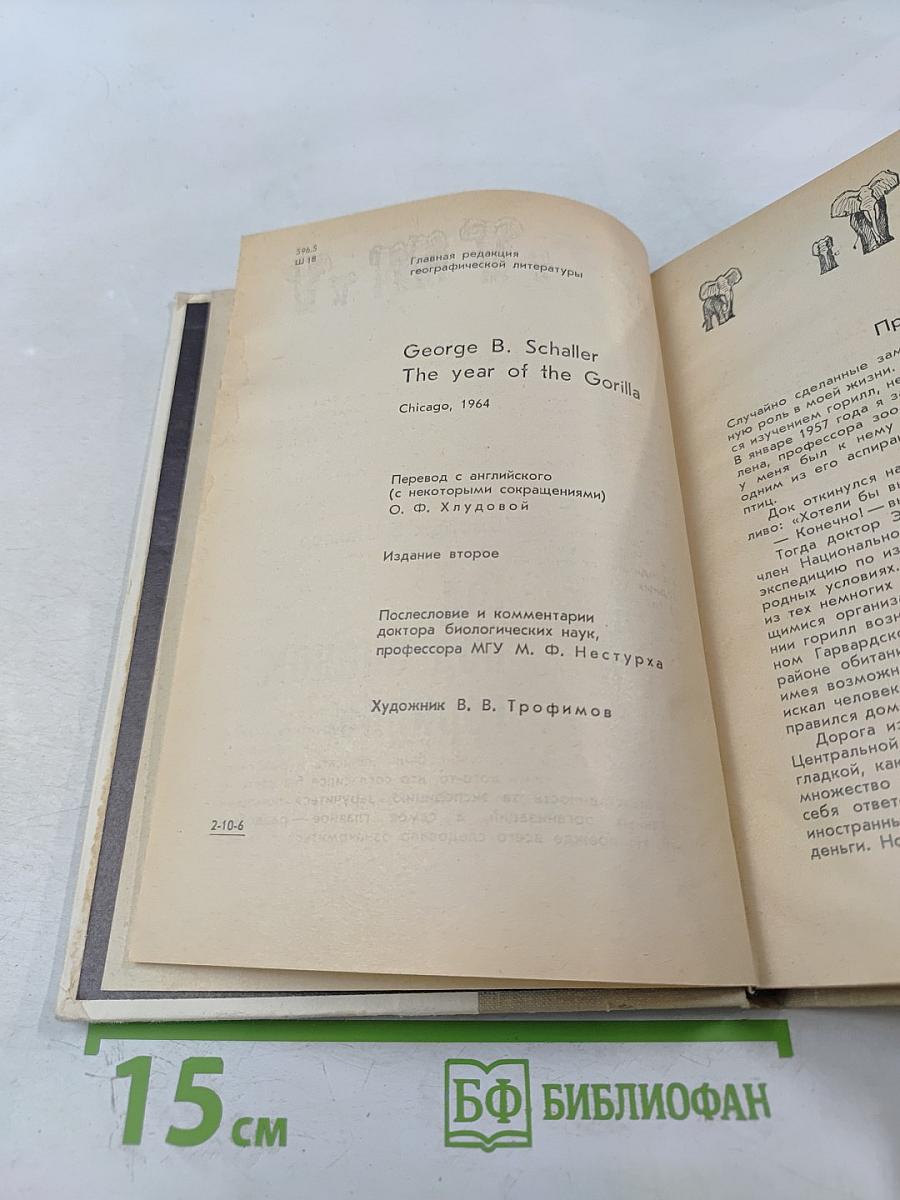 Год под знаком гориллы