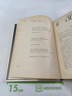 Год под знаком гориллы