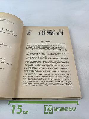 Год под знаком гориллы