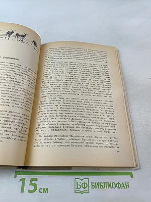 Год под знаком гориллы