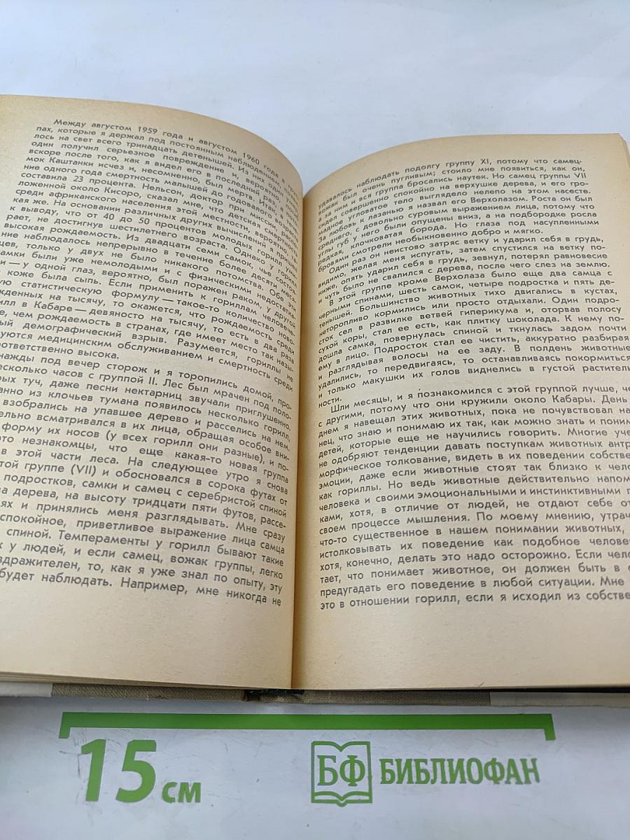 Год под знаком гориллы