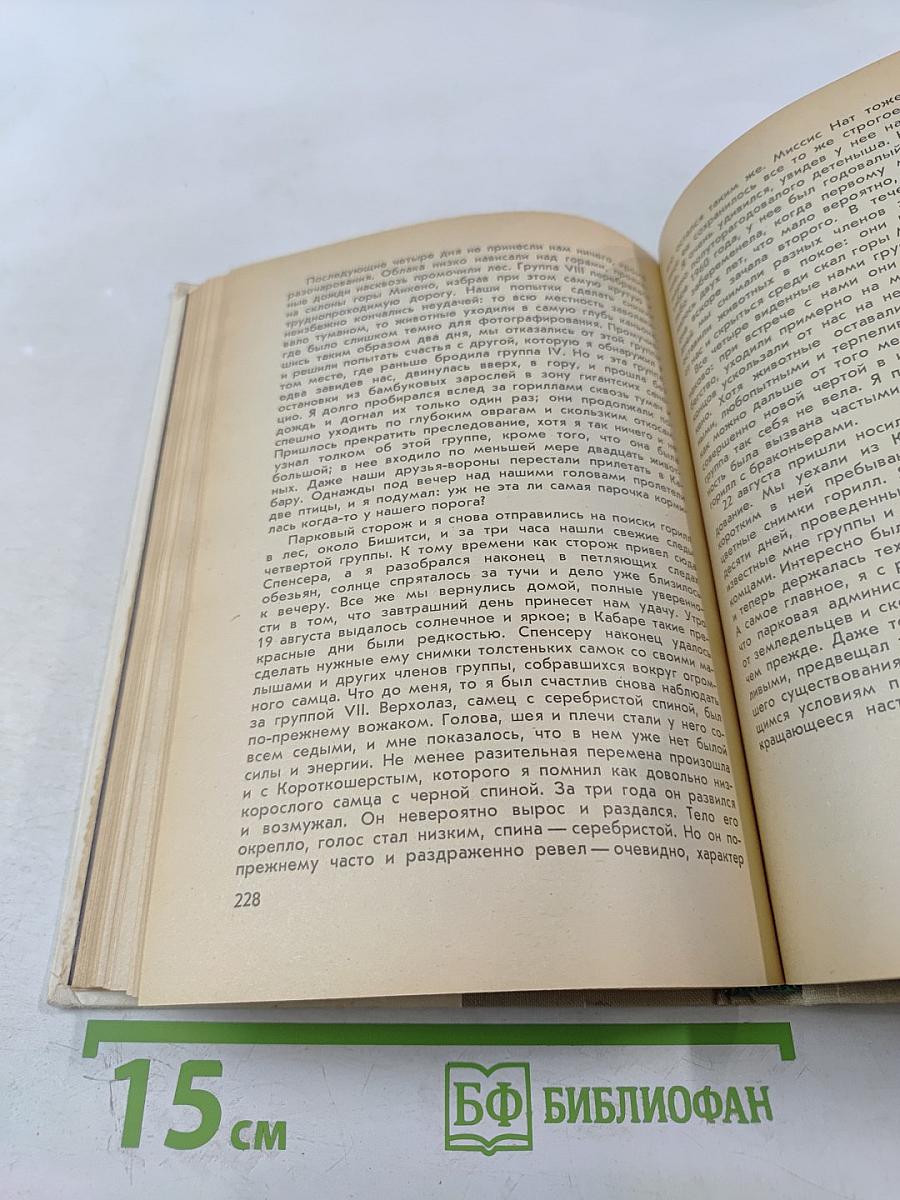 Год под знаком гориллы