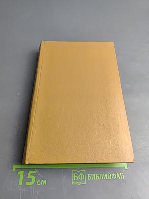 Тринадцать осколков