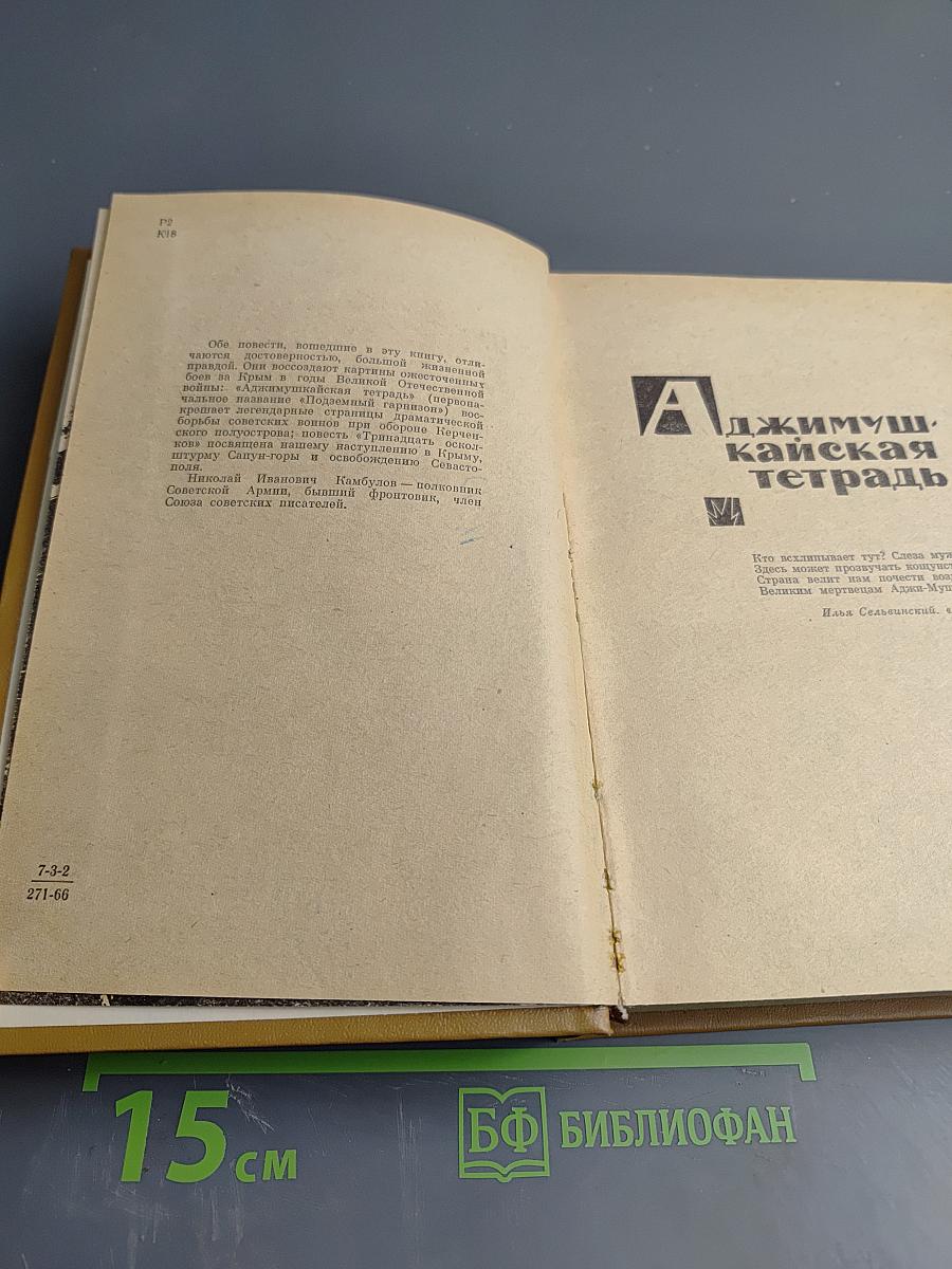 Тринадцать осколков