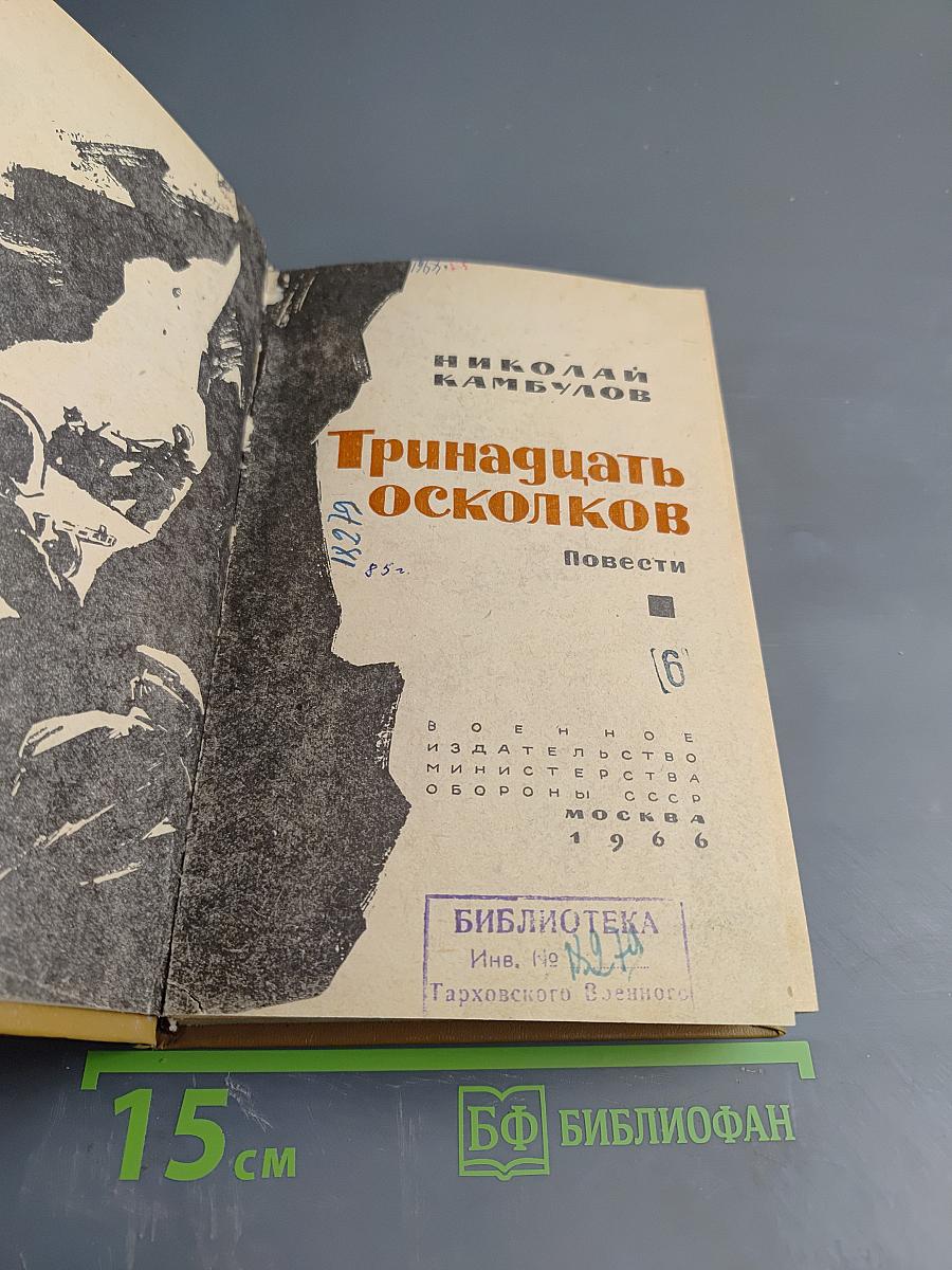 Тринадцать осколков