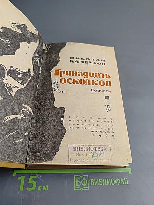 Тринадцать осколков