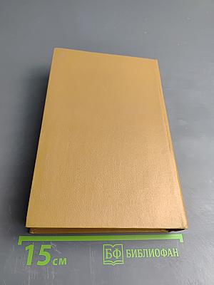 Тринадцать осколков