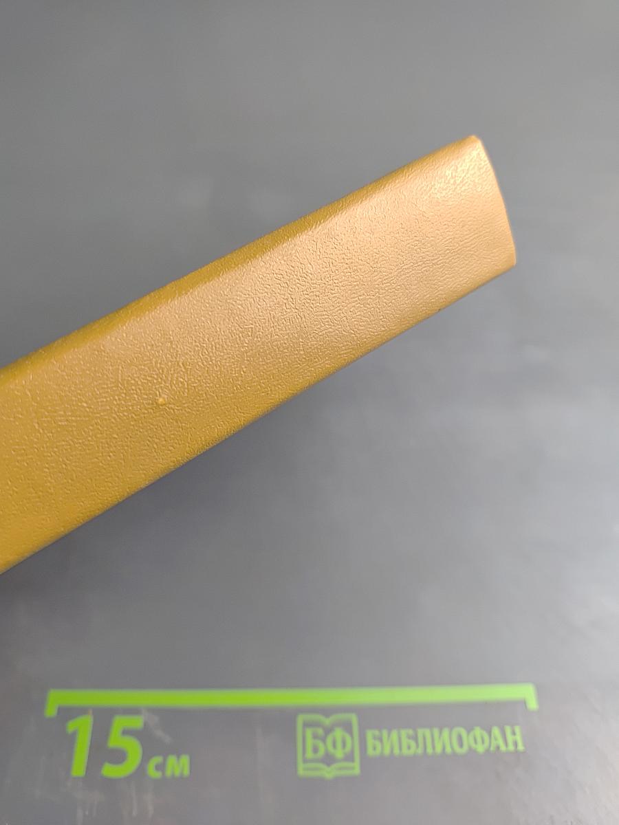 Тринадцать осколков