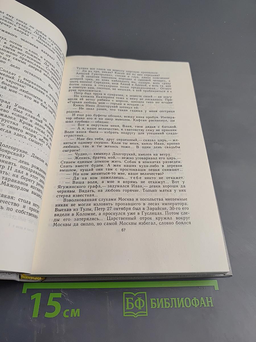Слово и дело. Книга первая. Царица престрашного зраку