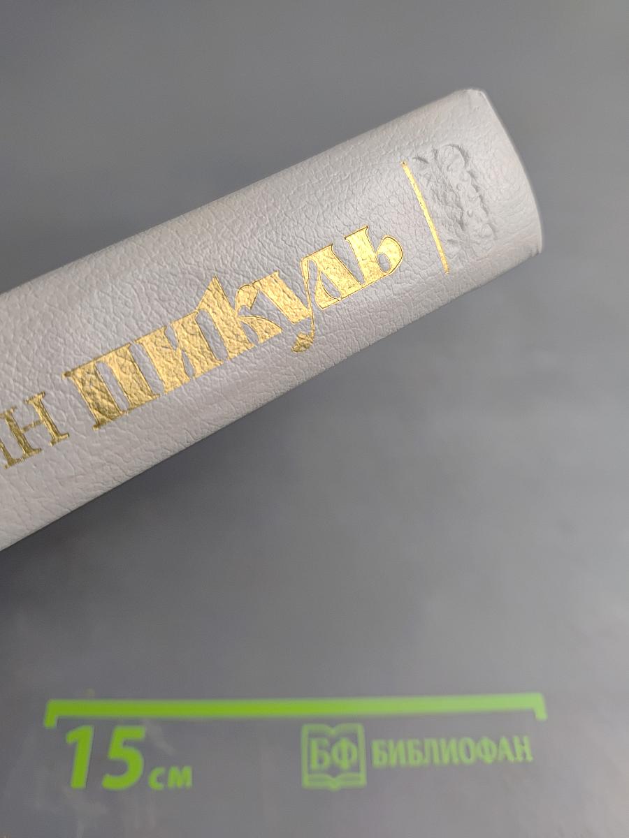 Слово и дело. Книга первая. Царица престрашного зраку