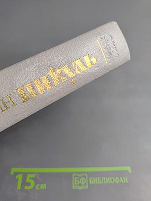 Слово и дело. Книга первая. Царица престрашного зраку