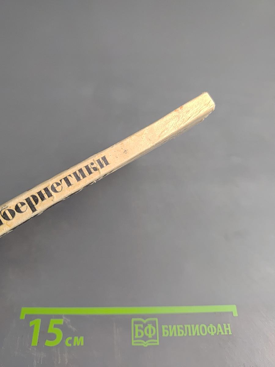 Проблемы кибернетики. Некоторые итоги и проблемы философско-методологических исследований