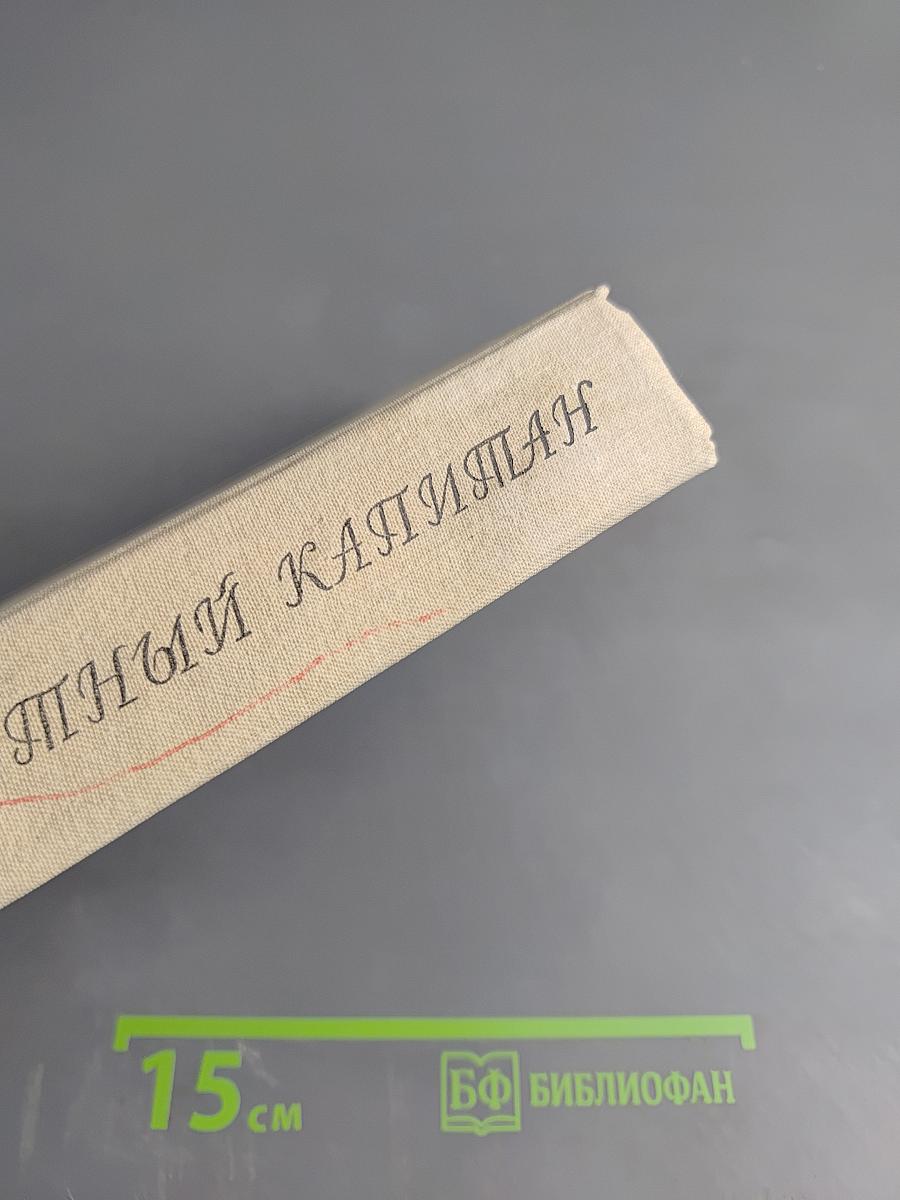 Пехотный капитан. Избранное