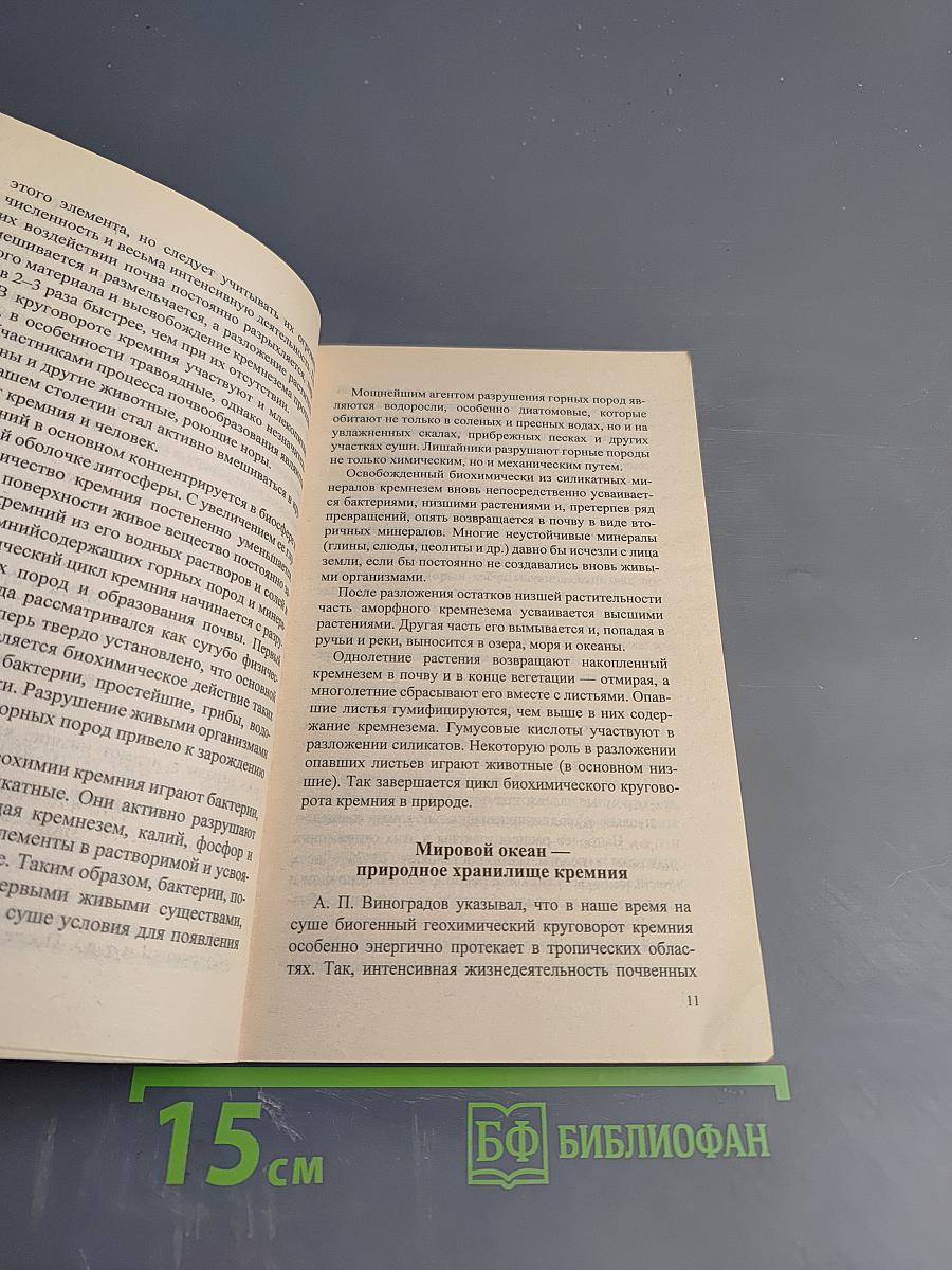 Мир «живого» кремния