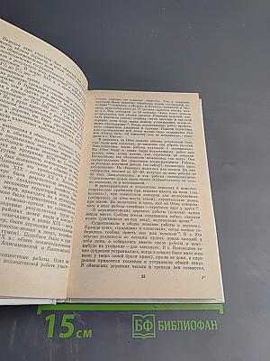 Русские: семейный и общественный быт