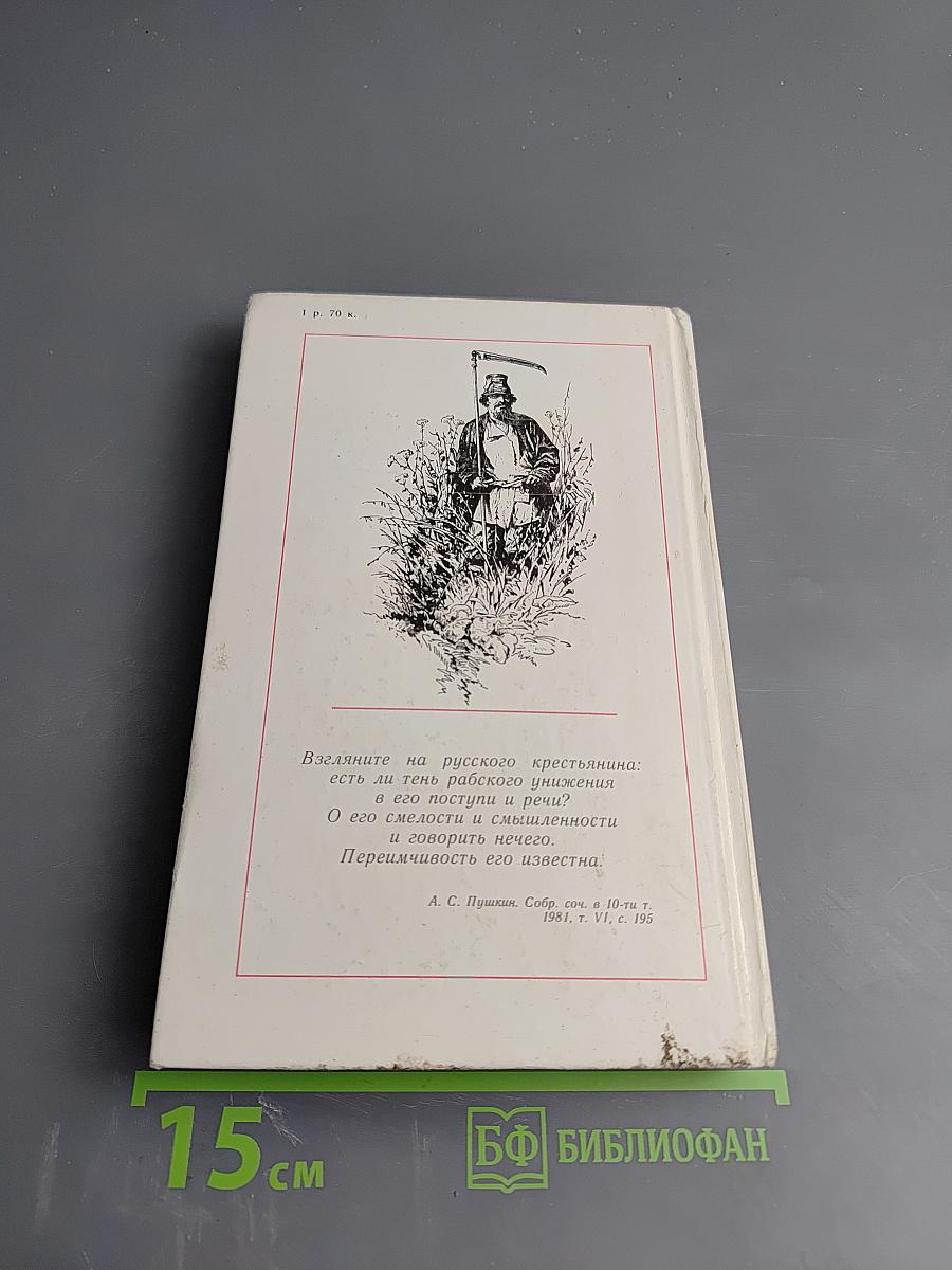 Русские: семейный и общественный быт