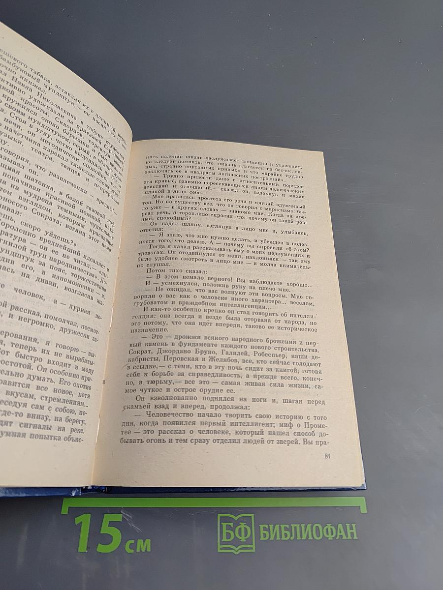 Литературные портреты