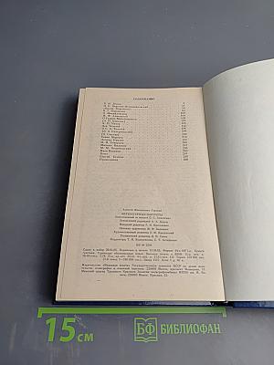 Литературные портреты