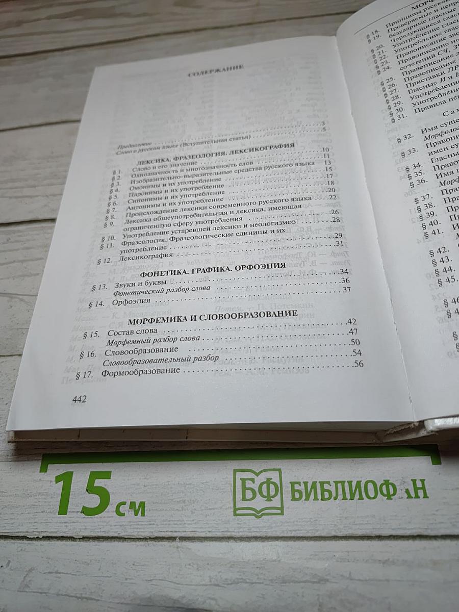 Русский язык 10–11 классы