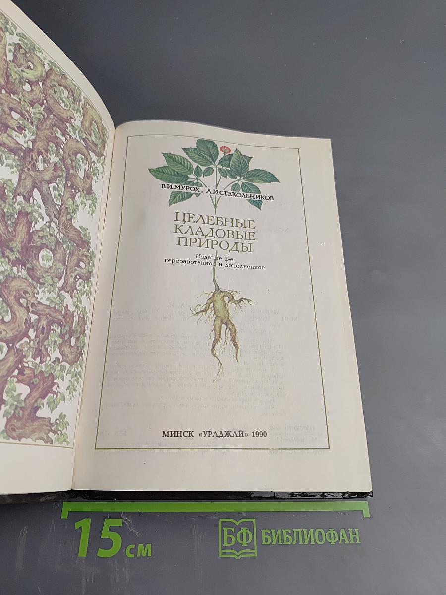 Целебные кладовые природы