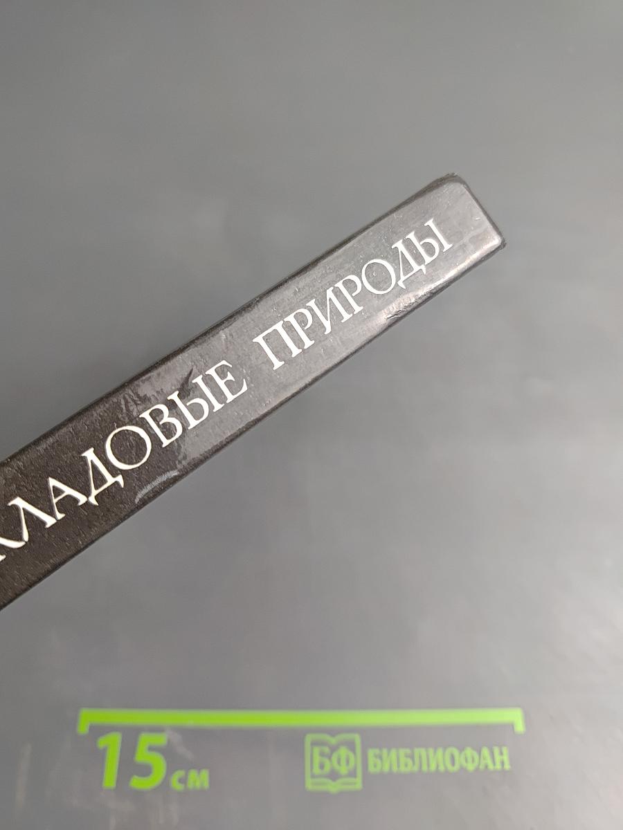 Целебные кладовые природы