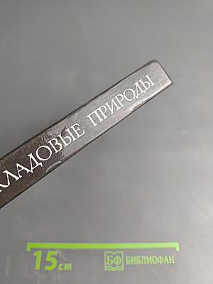 Целебные кладовые природы