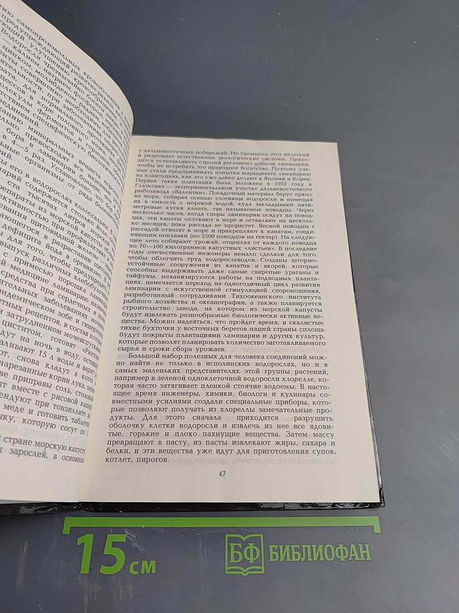 Целебные кладовые природы