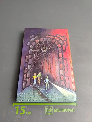 Тайна серебряного паука. Тайна озера призраков