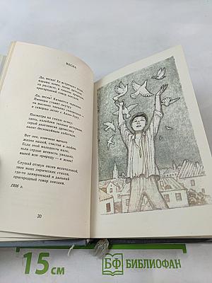 Дорога моей земли