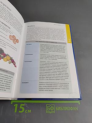 Беременность от зачатия до родов