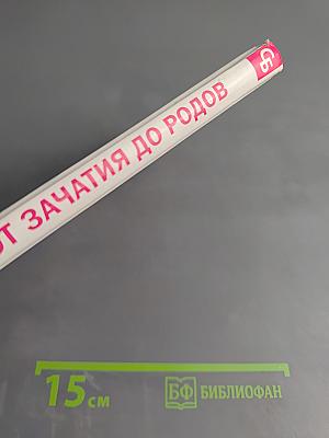 Беременность от зачатия до родов